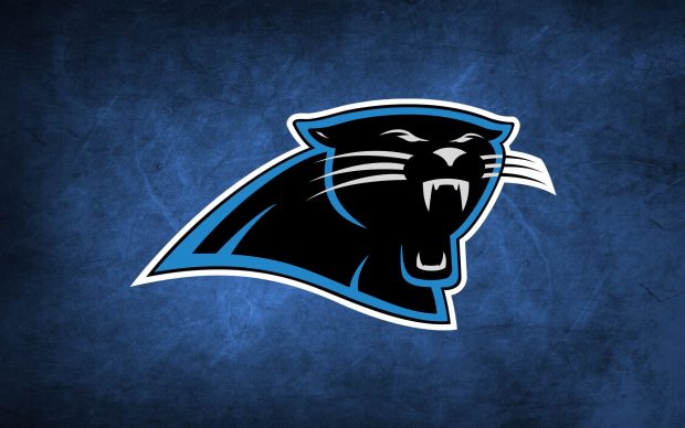 Carolina Panthers NFL Logo Wallpaper widescreen.