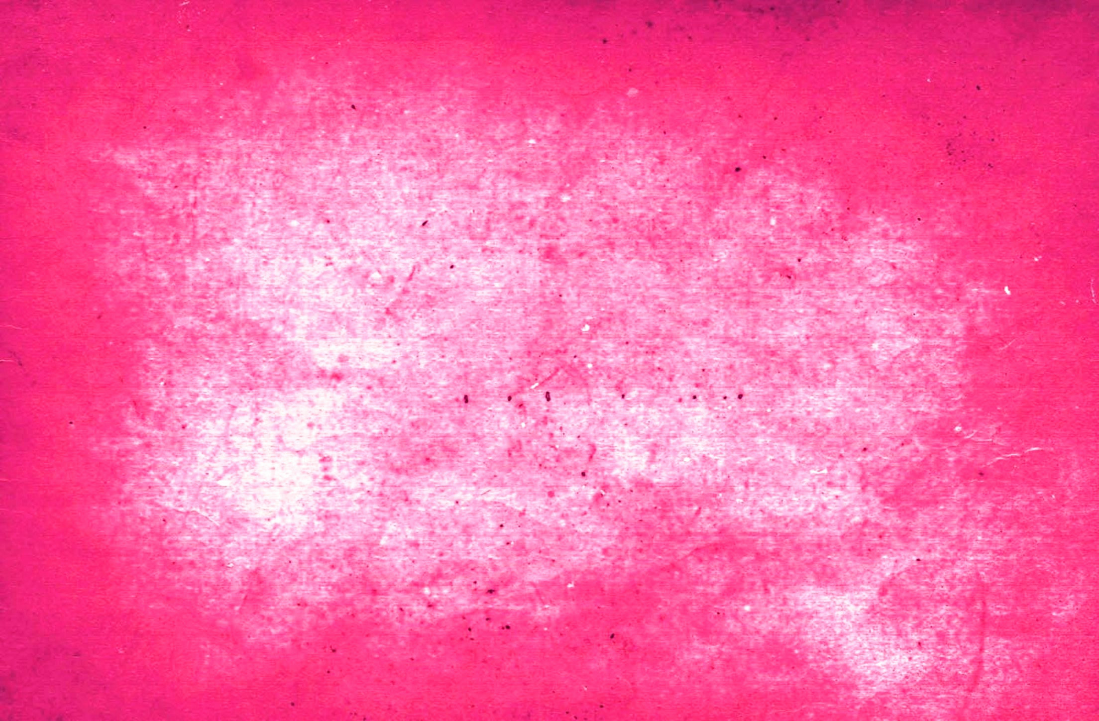 Cute Pink Wallpapers Pixelstalk Net