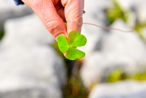 Cute St Patricks Day Images.