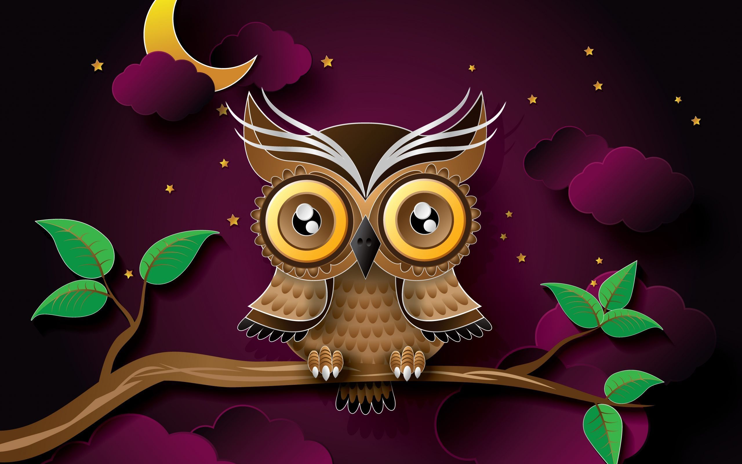 Cute Owl Photo Download Free.