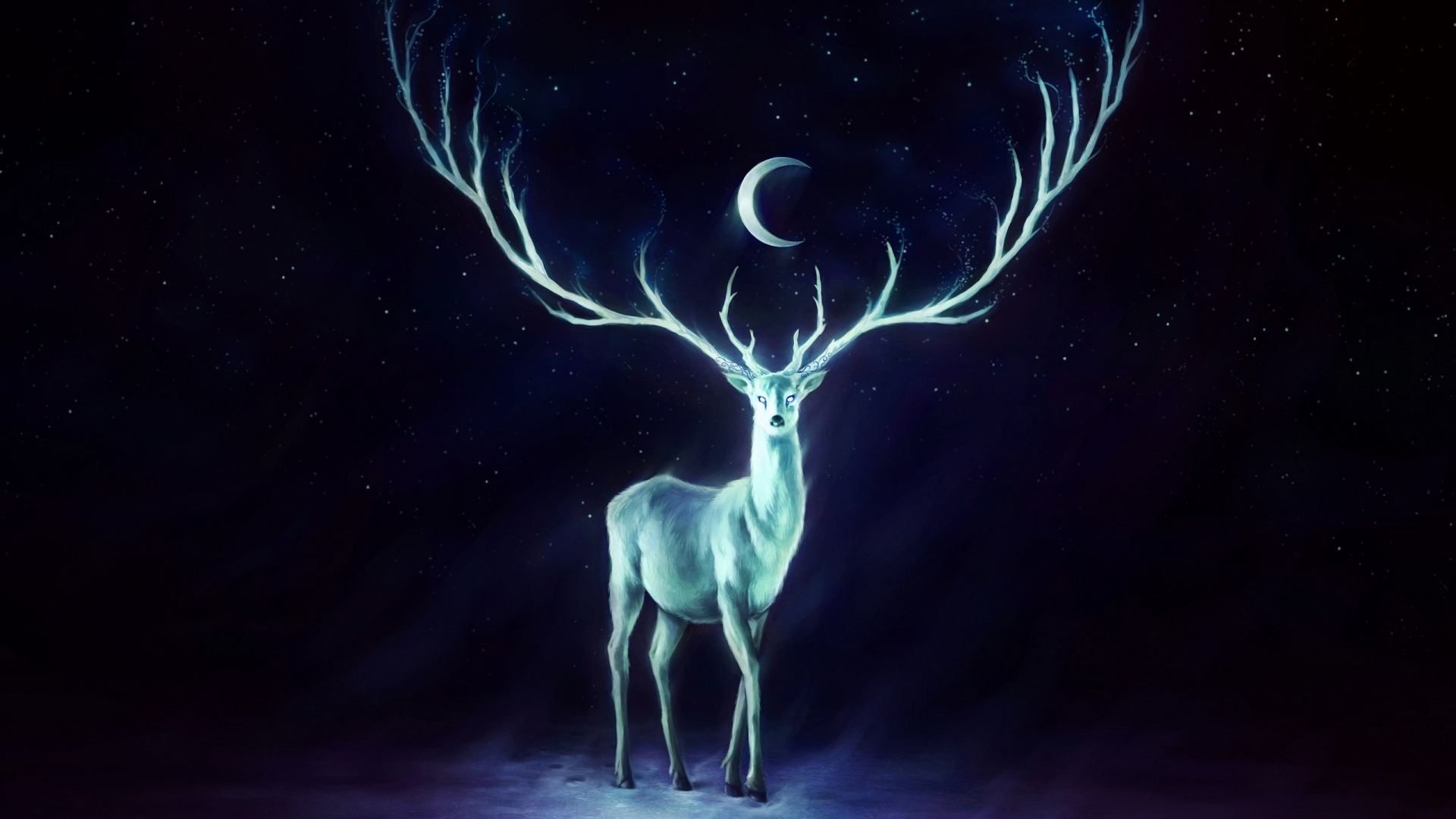 Deer desktop 1080P 2K 4K 5K HD wallpapers free download  Wallpaper Flare