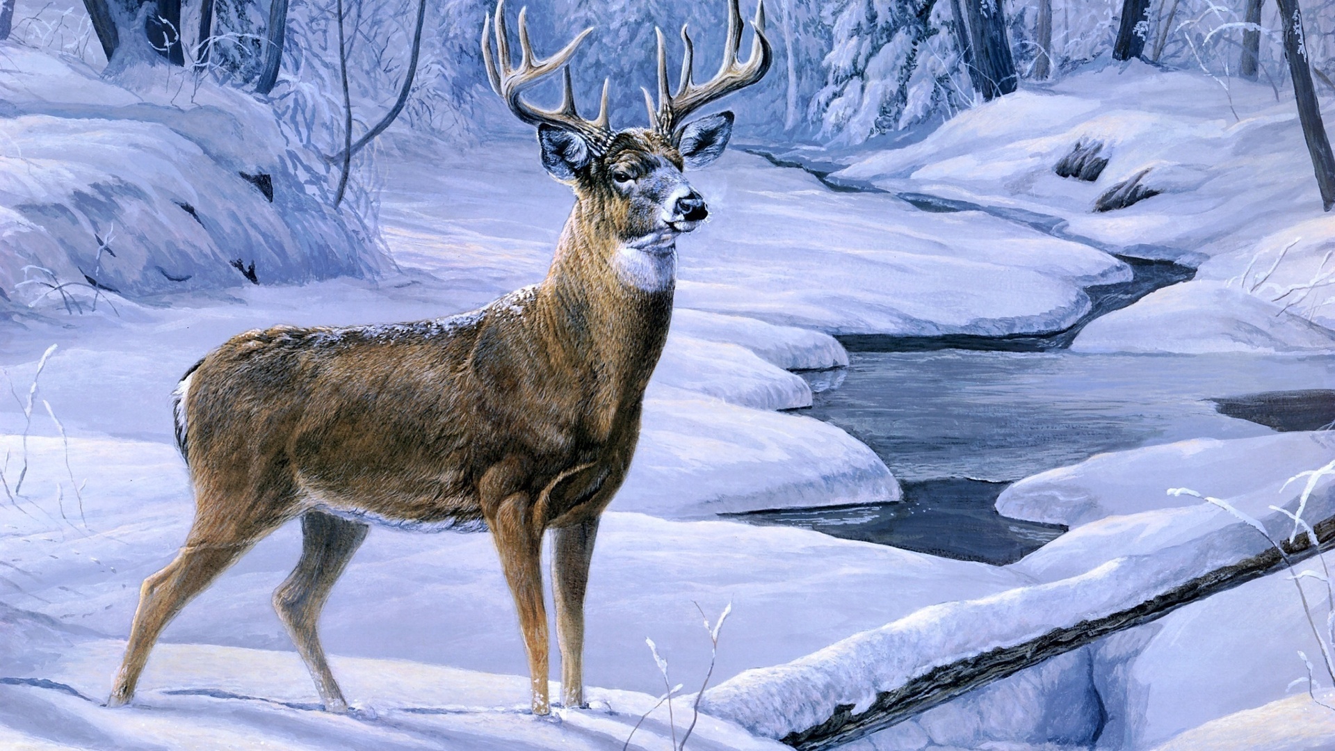 Deer Wallpapers for Desktop 7.