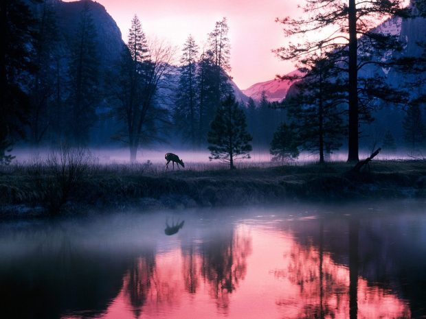 Download Free Beautiful Night Yosemite Wallpaper 2.