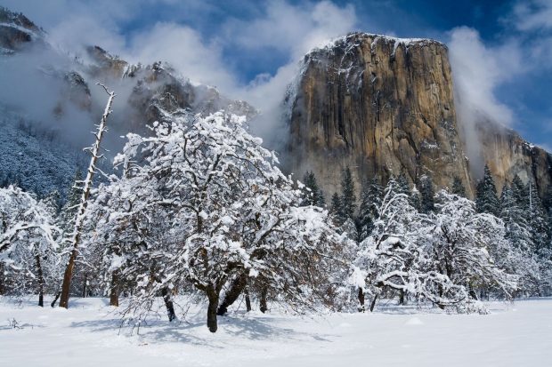 Download Free Beautiful Yosemite Background  3.