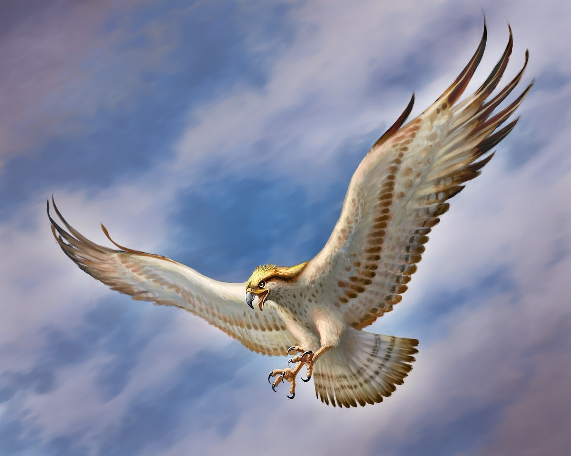 Eagles Wallpaper HD for Desktop 3.