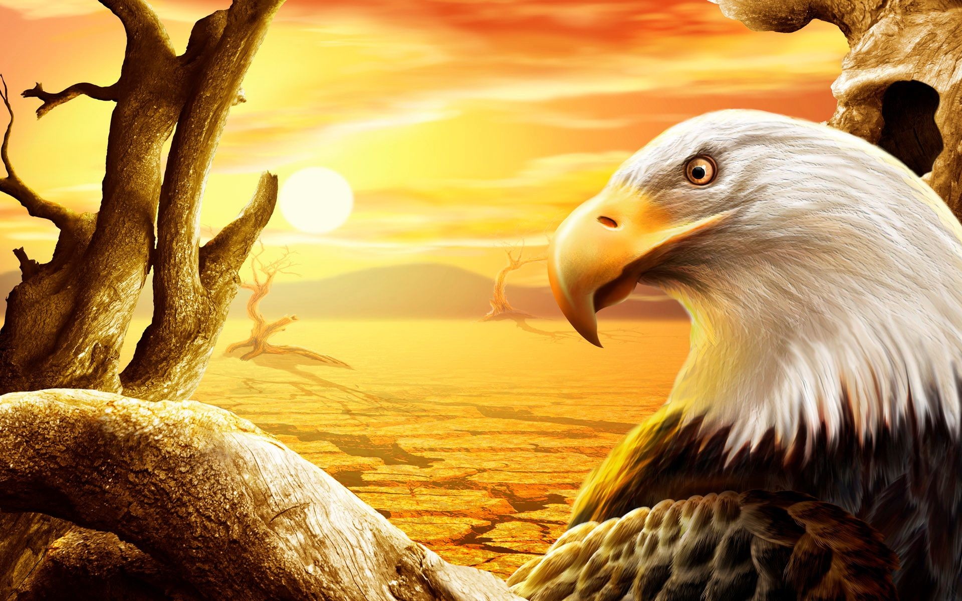 Free Eagles Wallpaper HD Download 4.