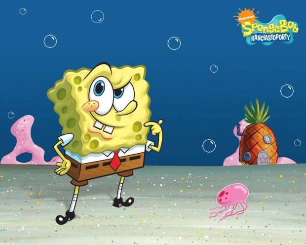 Free download Spongebob Image.