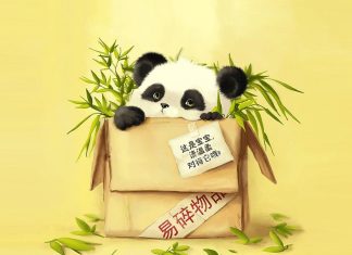 Funny Panda Backgrounds.