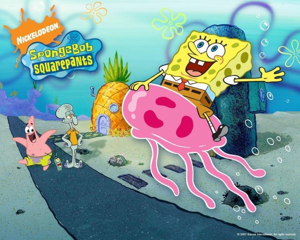 Funny Spongebob Wallpaper HD Squarepants Fanpop.