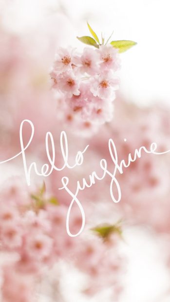 Hello Spring HD Wallpapers For Android.