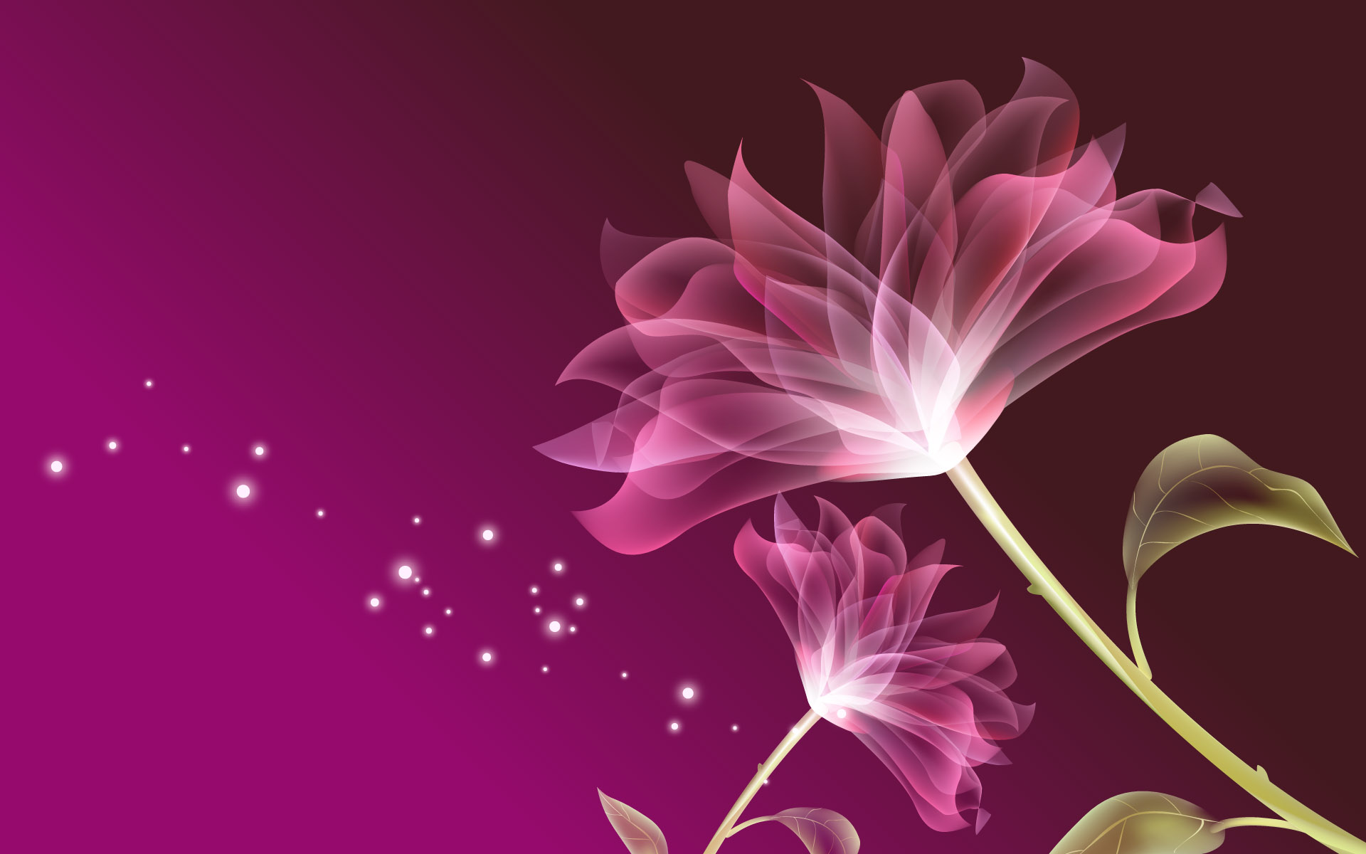 Pink Wallpapers Color Backgrounds Images.