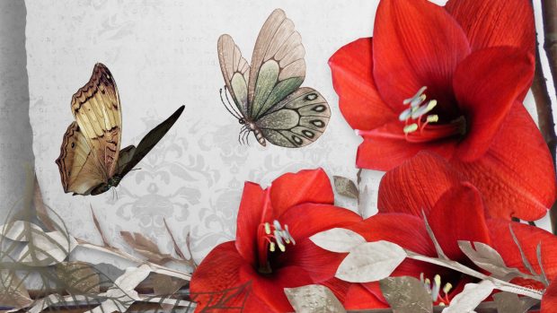 Red Flower and butterfly Vintage Wallpapers HD.