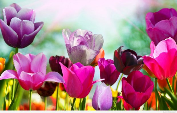 Spring.