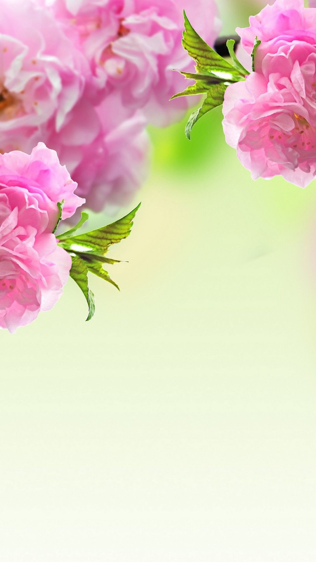 30 Stunning Spring Wallpapers For IPhone Screens 2023