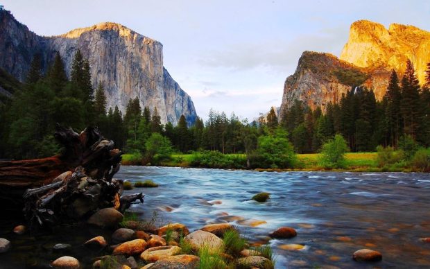 Yosemite National Park Image 1.