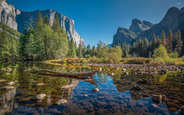 Yosemite National Park Wallpaper 8.