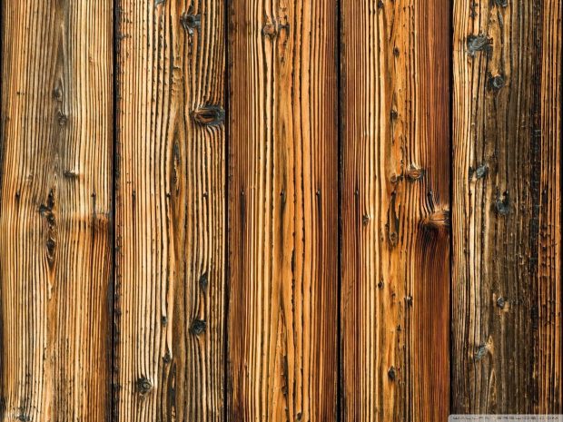 1600x1200 Wood HD Background.