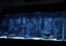 3d Aquarium Background.