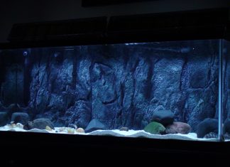 3d Aquarium Background.