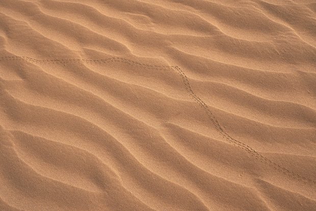 4K Sand Image.