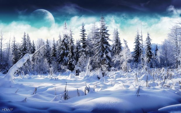 Abstract Winter Backgrounds Image.