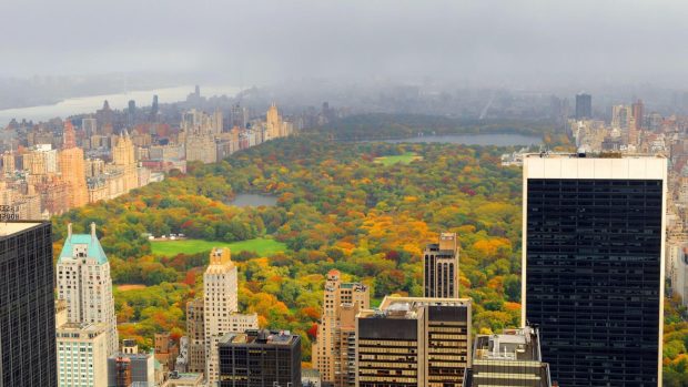 Amazing Pict of Central Park