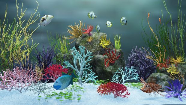 Aquarium HD Wallpaper 2.