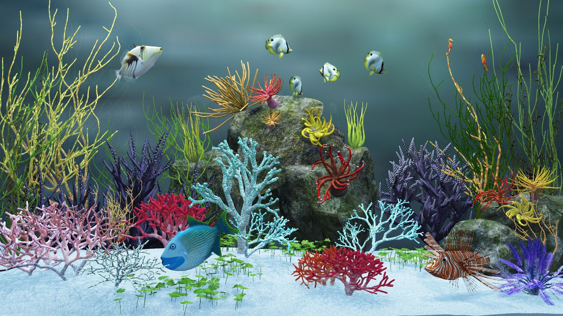 Aquarium HD Wallpapers 