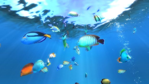 Aquarium Wallpaper HD for Desktop 3.