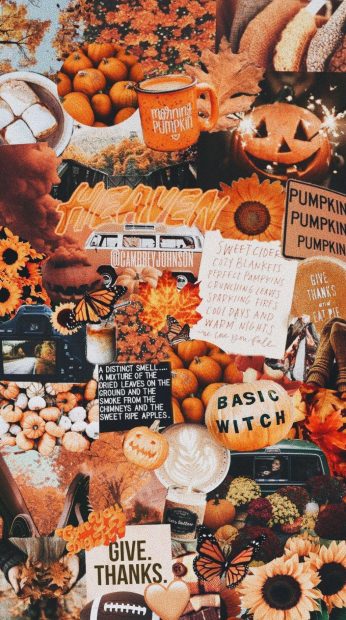 Autumn aesthetic iPhone wallpaper 1.