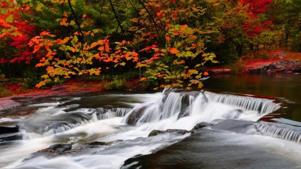 Autumn river surrounded by colorful trees.