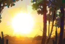 Beautiful Summer Solstice Image.