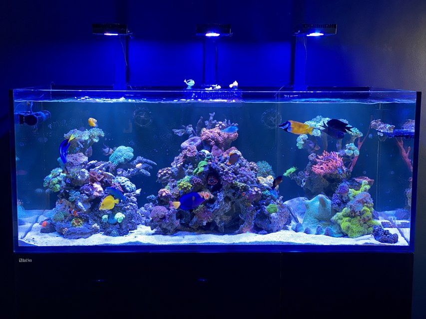 Black Aquarium Backgrounds | PixelsTalk.Net