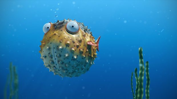 Bubbles spikes eye ball fish ocean underwater wallpapers.