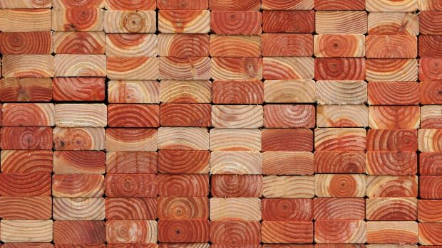 Butterfly Wood Grain Desktop Background 1920x1080.