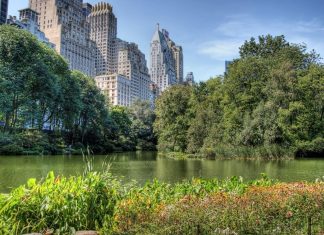 Central Park HD Wallpapers.