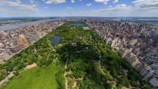 Central Park HD Wallpapers Desktop.