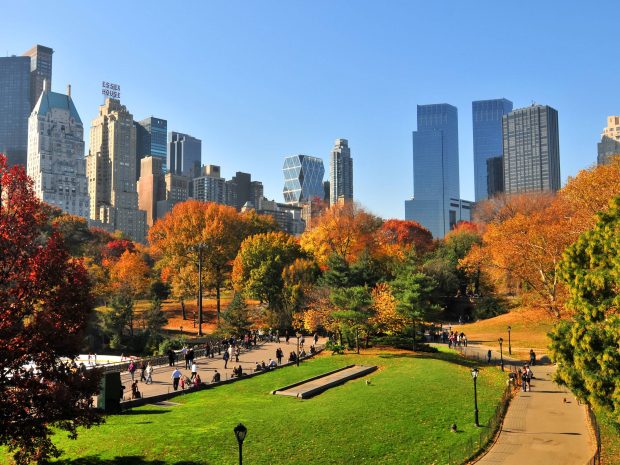 Central Park In Nyc During Autumn Desktop Wallpaper.