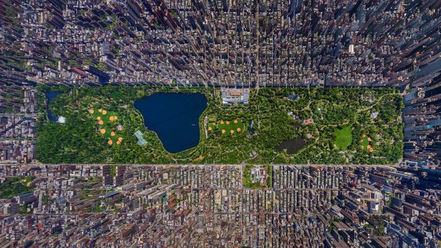 Central Park New York USA Image.