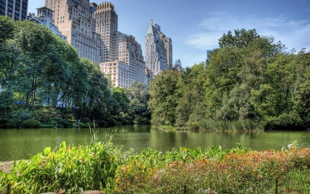 Central Park Wallpapers United States World.
