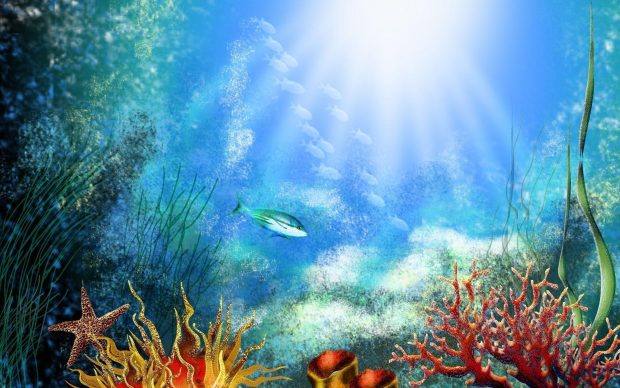 Colorful Aquarium Wallpaper 1
