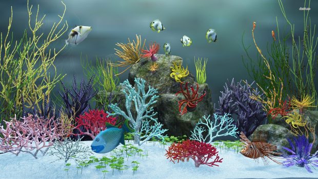 Colorful Aquarium Wallpaper 3