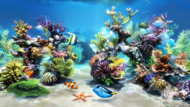 Colorful Aquarium Wallpaper 4