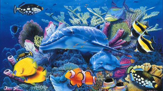 Cool Aquarium Wallpaper HD 6.