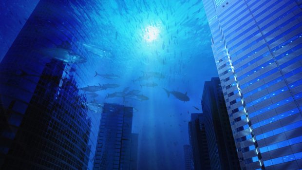 Cool Underwater HD Wallpaper 3.