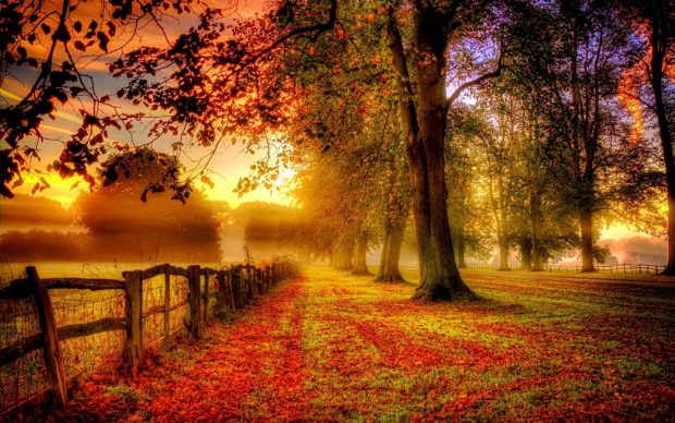 Country Fall Nature Wallpaper 5.