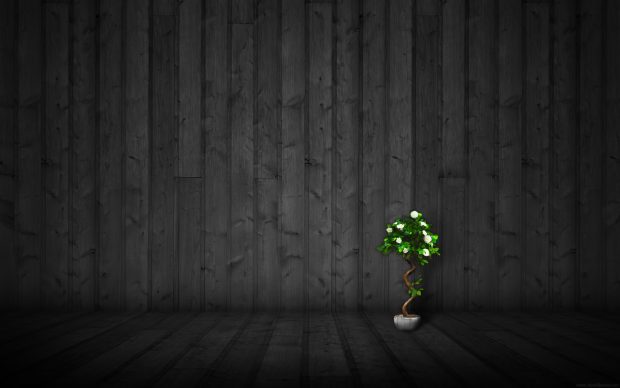 Dark Wood Wallpapers HD 3.