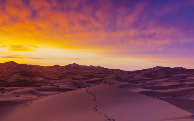 Download Sahara Desert Sand Wallpapers Free By Pixelstalk.