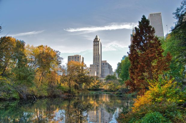 Download wallpapers Central Park New York Skyscrapers Free.