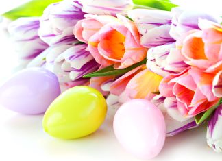 Easter Backgrounds 1.